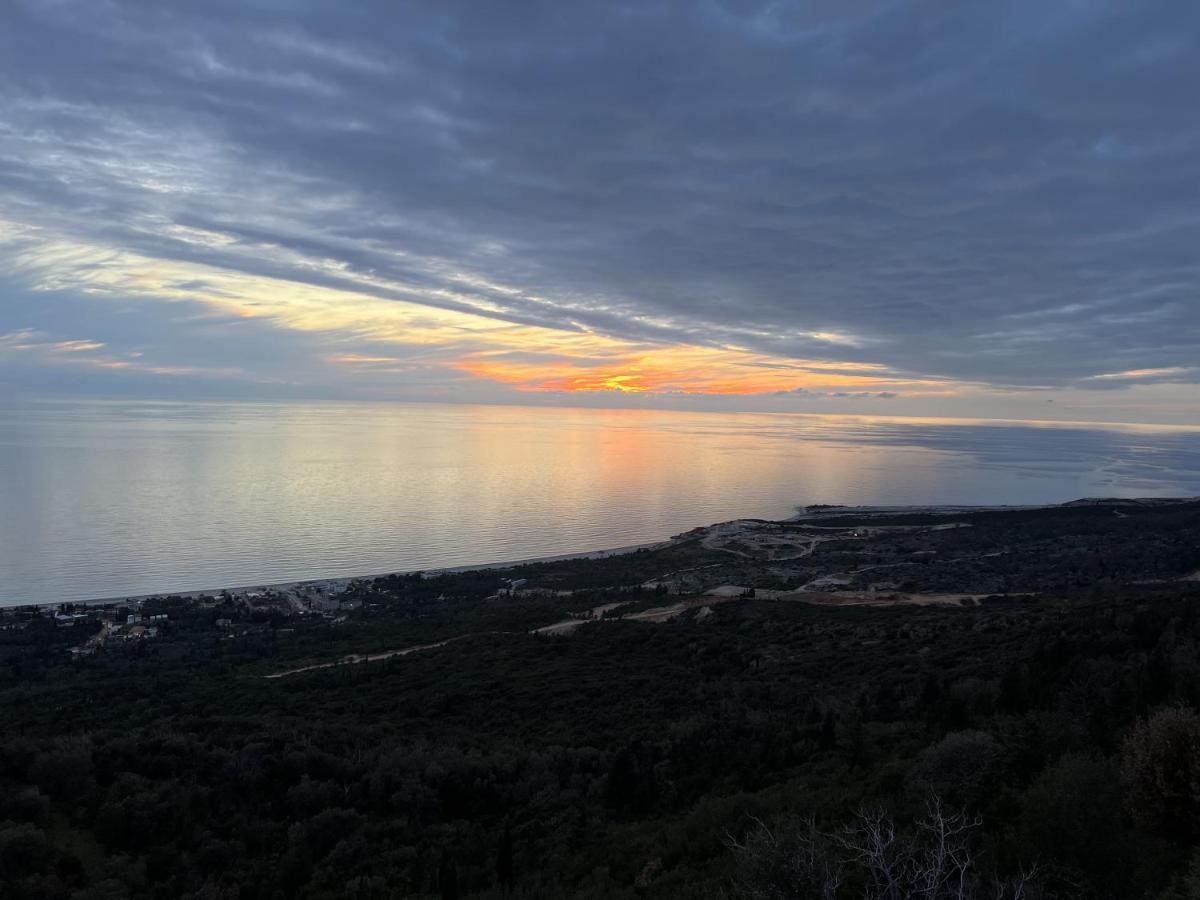 Palasa View Дхерми Экстерьер фото
